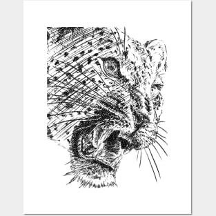 Leopard 003 Posters and Art